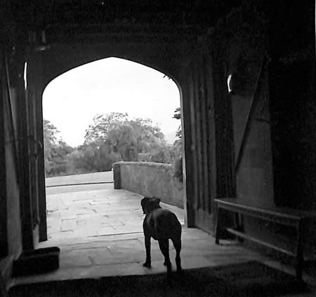 Unidentified ground, scene and event from Myrtle Maclagan's photo album