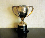Micro Diet Cup