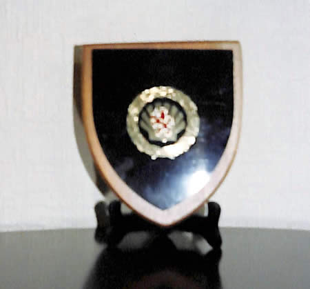 A Shield