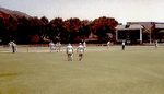 Unicorns Women openers action photograph, 21 Dec 1983